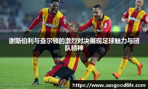 谢斯伯利与查尔顿的激烈对决展现足球魅力与团队精神